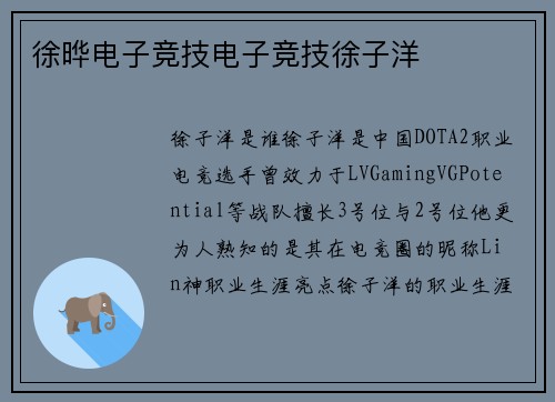 徐晔电子竞技电子竞技徐子洋